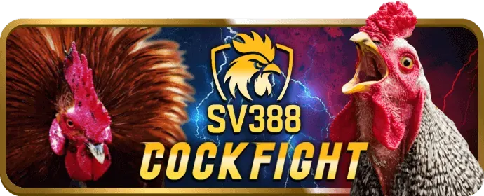 Hỗ trợ khách hàng Tydo88